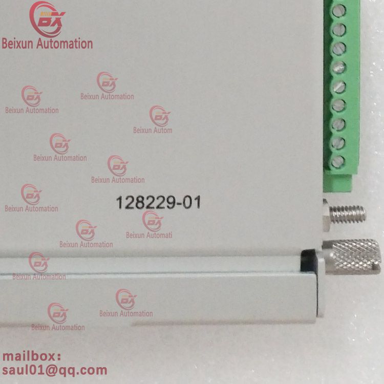 Bently Nevada 128229-01 350042 Prox Seismic IO Module(图4)